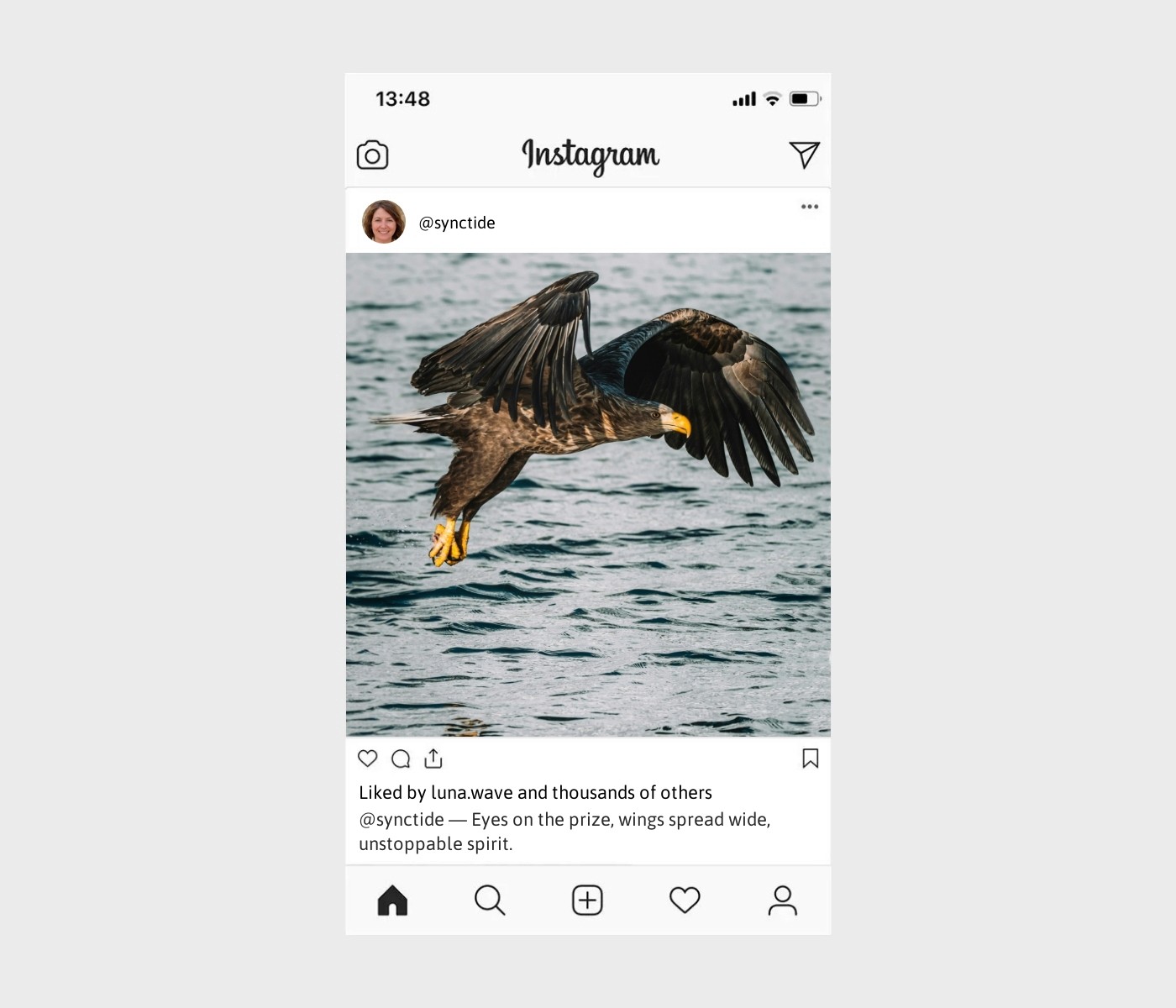 eagles-captions-for-instagram