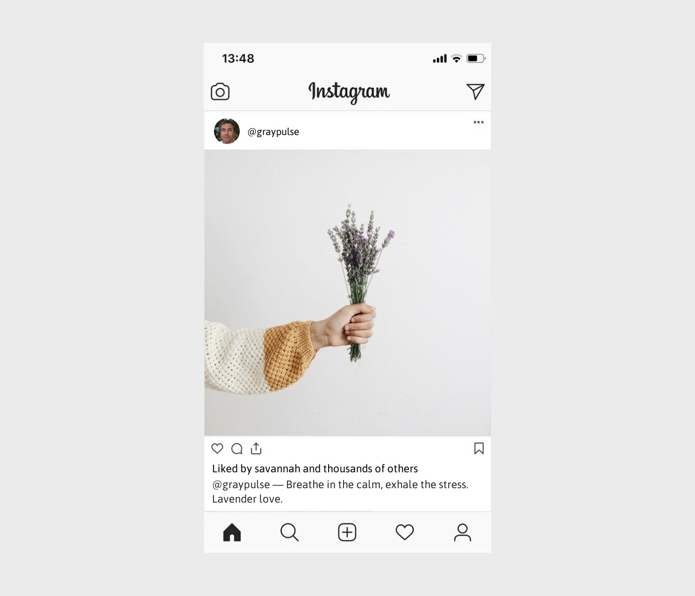 lavender-captions-for-instagram