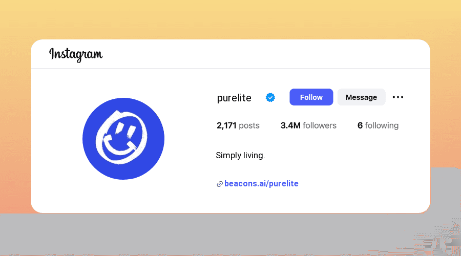 Minimalist Instagram Bios samples