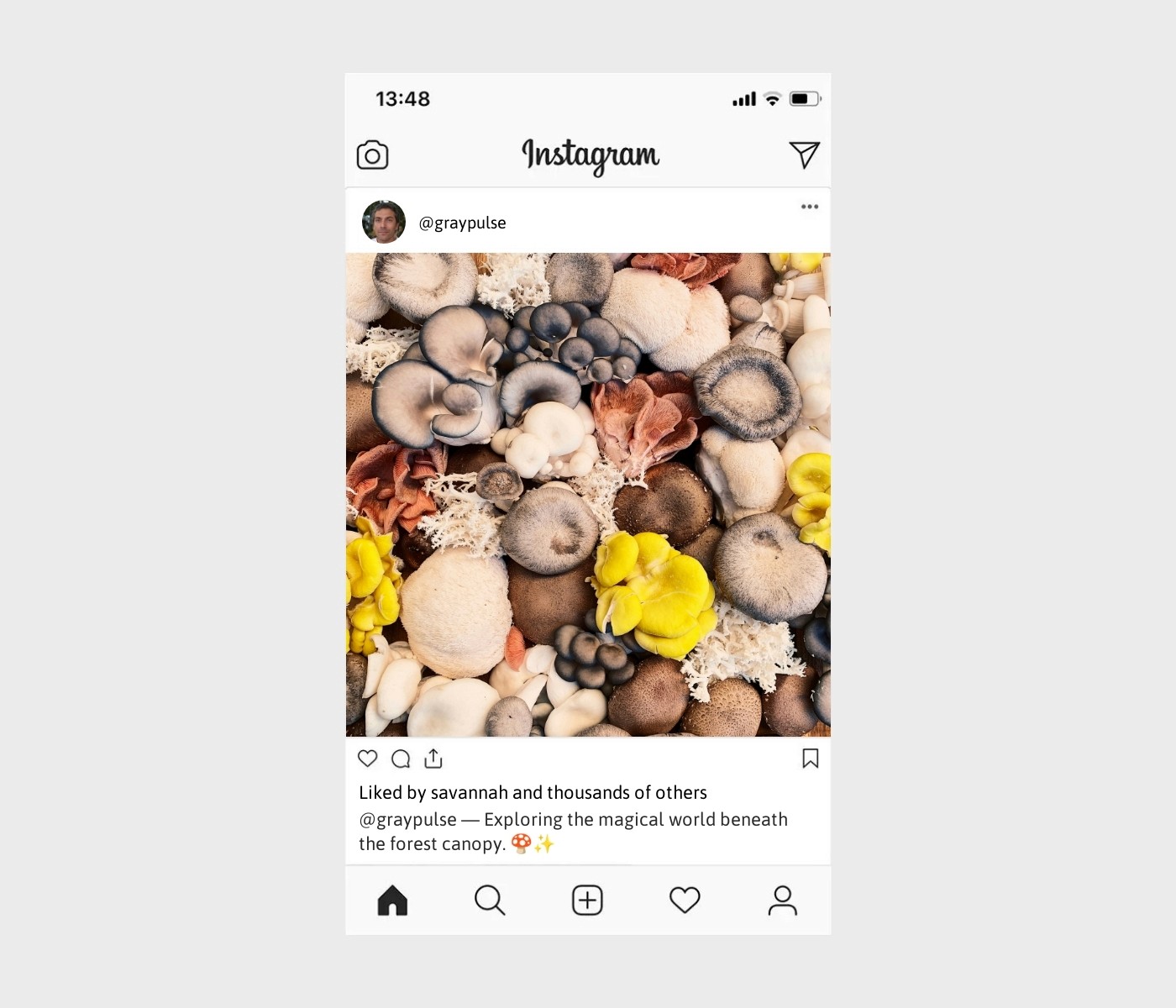 mushroom-captions-for-instagram