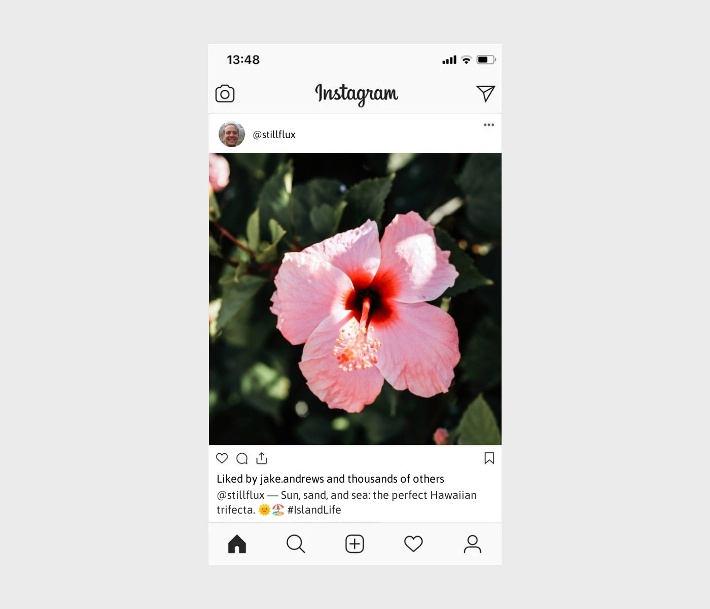 hawaii-captions-for-instagram