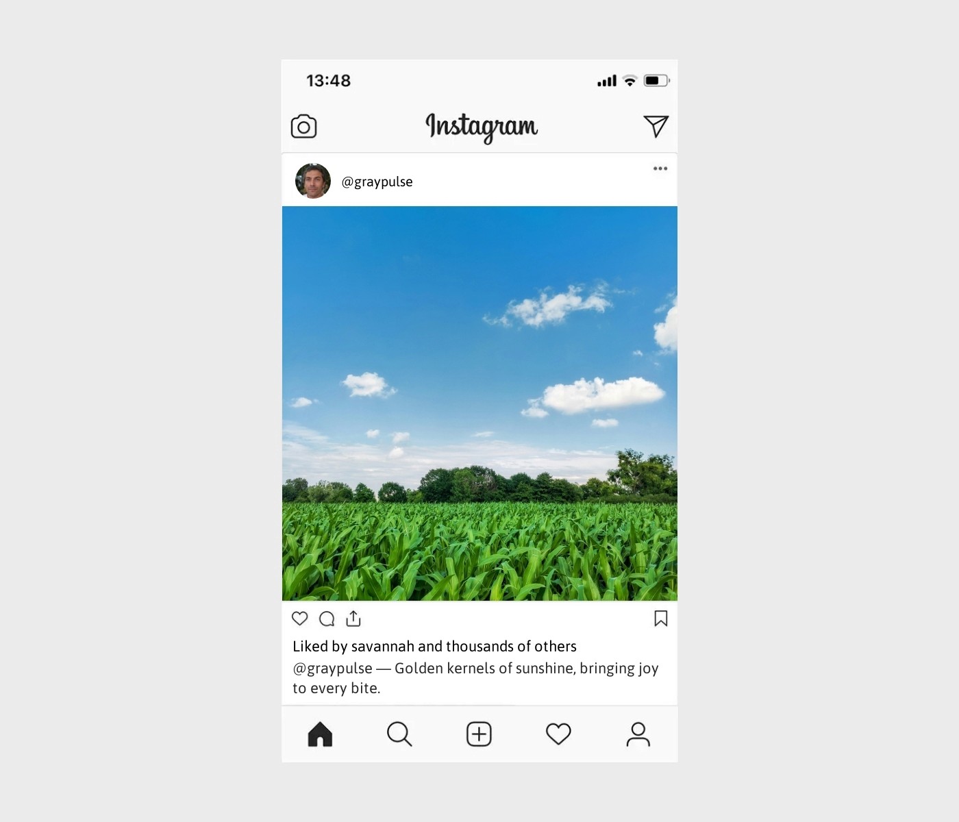 corn-captions-for-instagram
