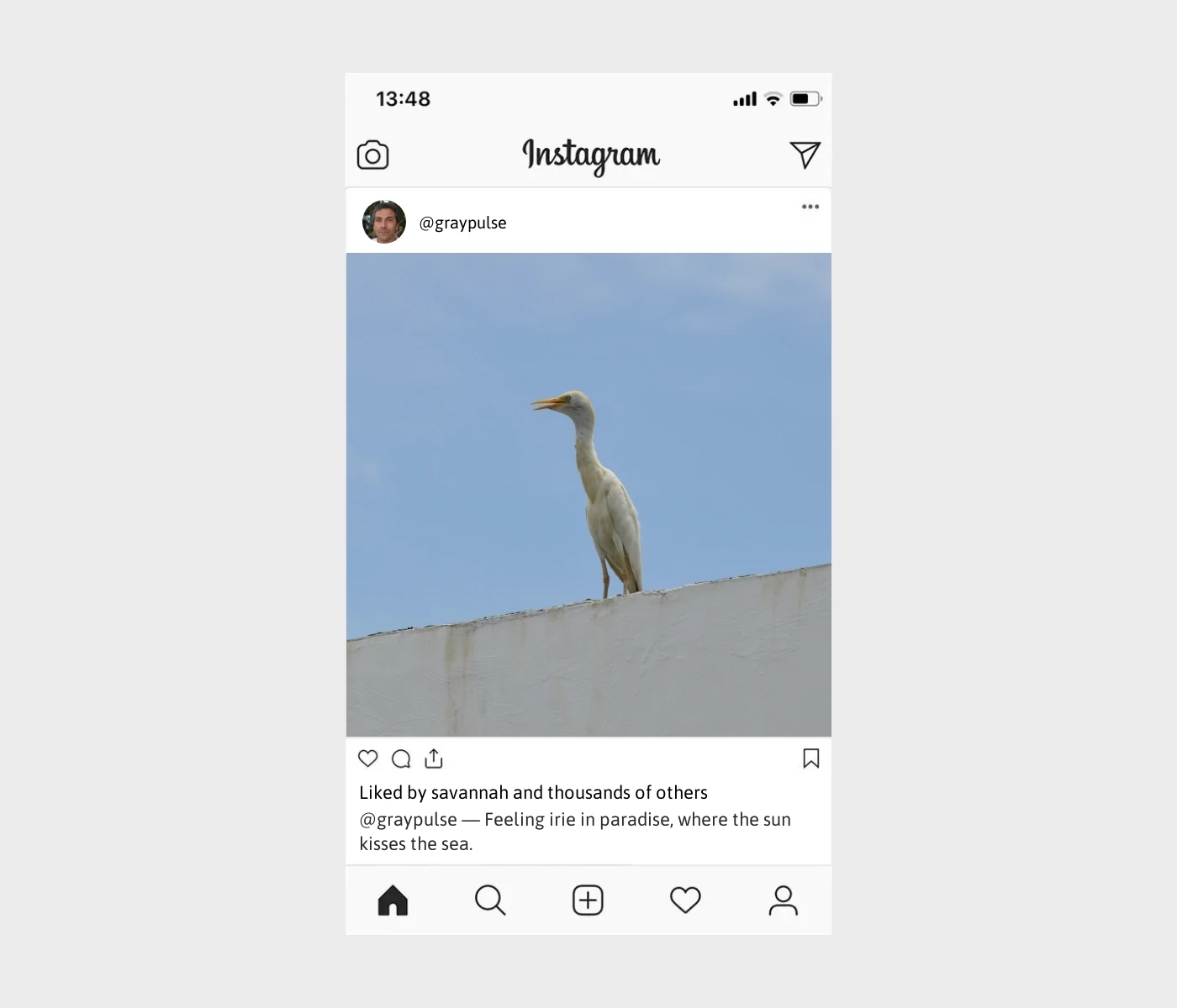 jamaican-captions-for-instagram