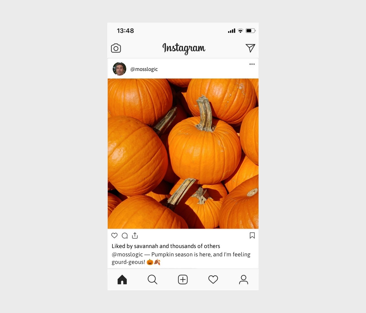 pumpkin-captions-for-instagram