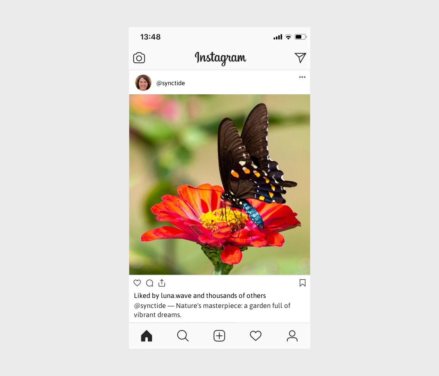 flower-garden-captions-for-instagram