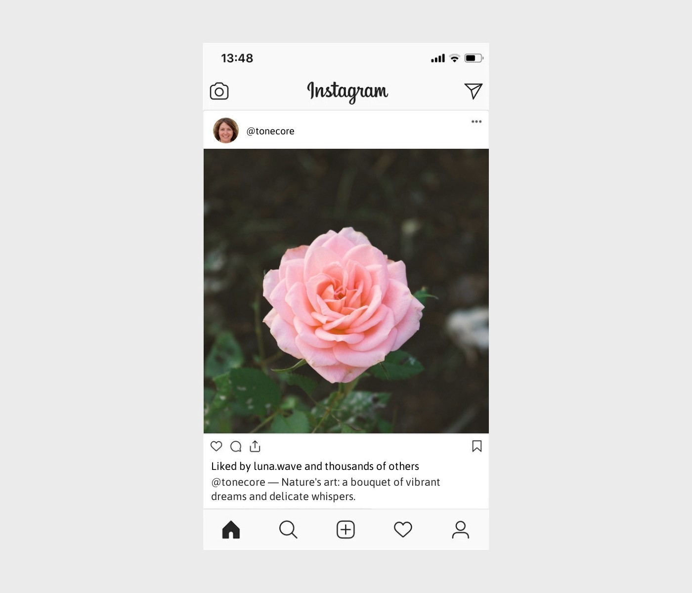flower-captions-for-instagram