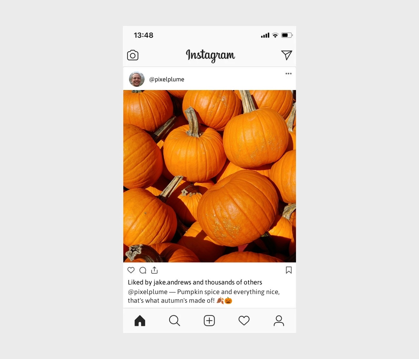 pumpkin-captions-for-instagram