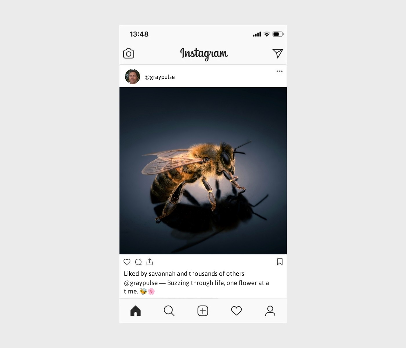 bee-caption-for-instagram