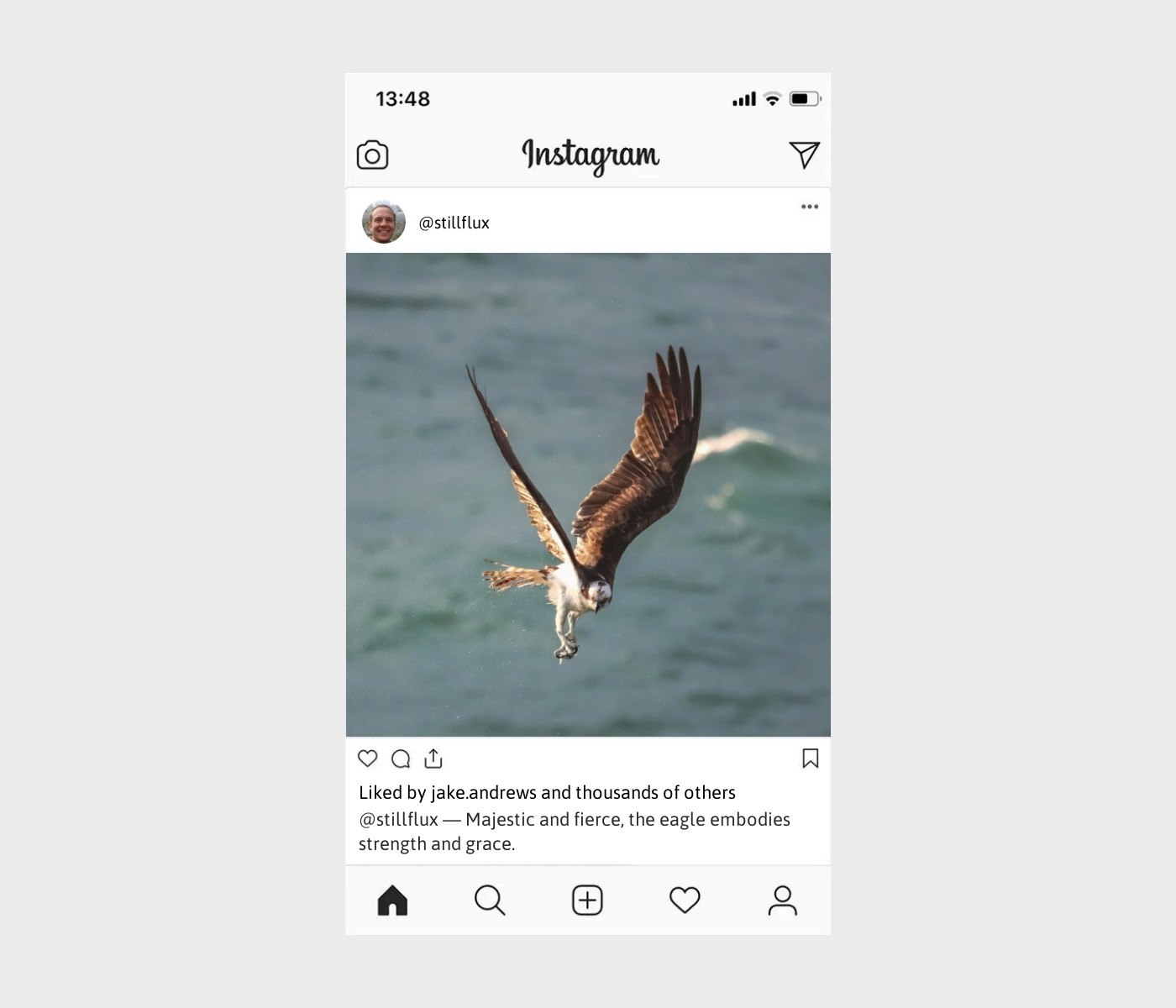 eagles-captions-for-instagram