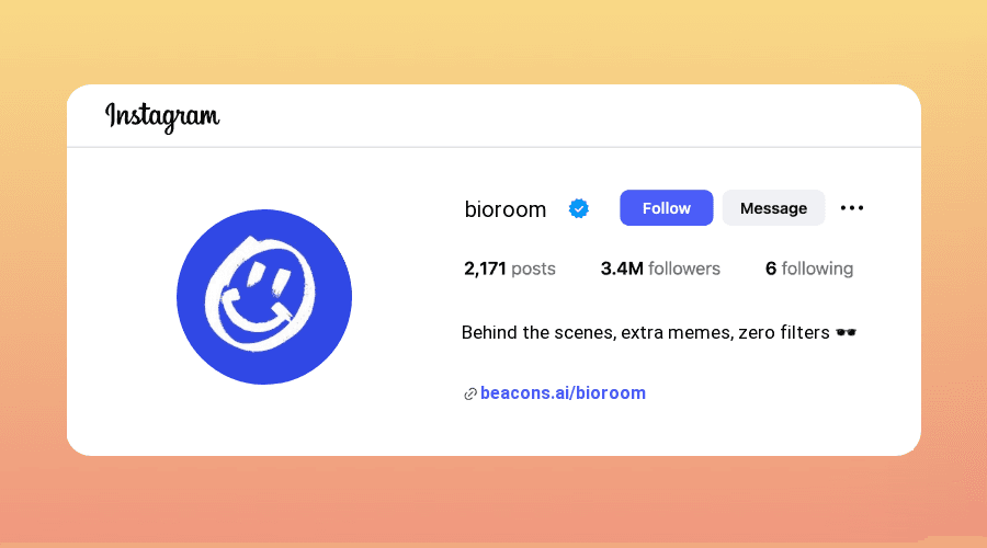 Instagram Bios for Second Accounts samples