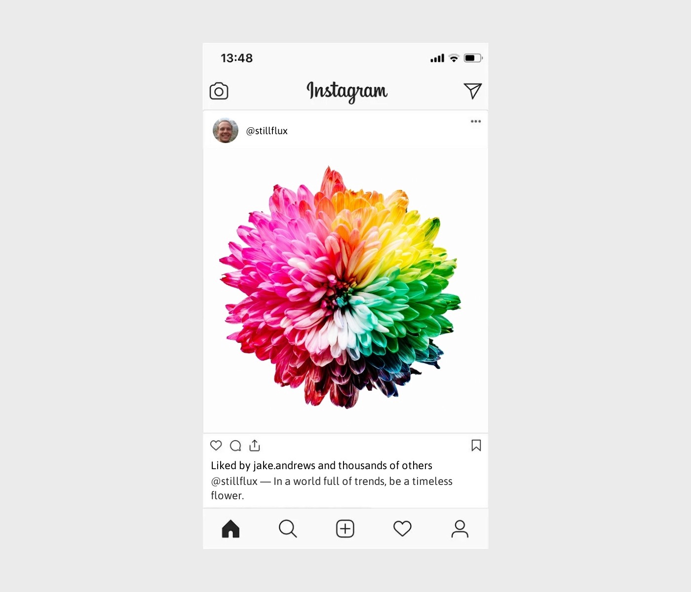 pinterest-flower-captions-for-instagram