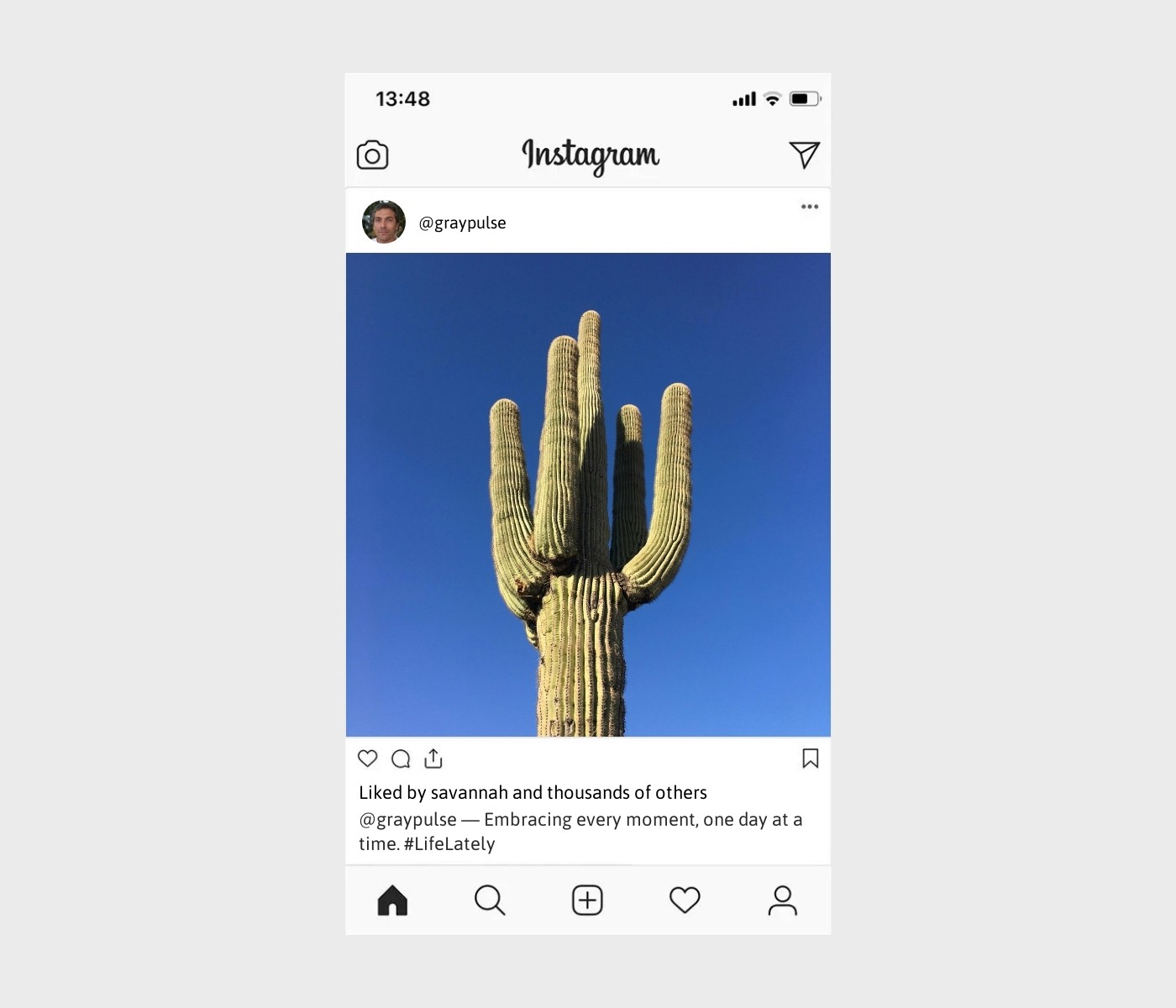 life-lately-captions-for-instagram