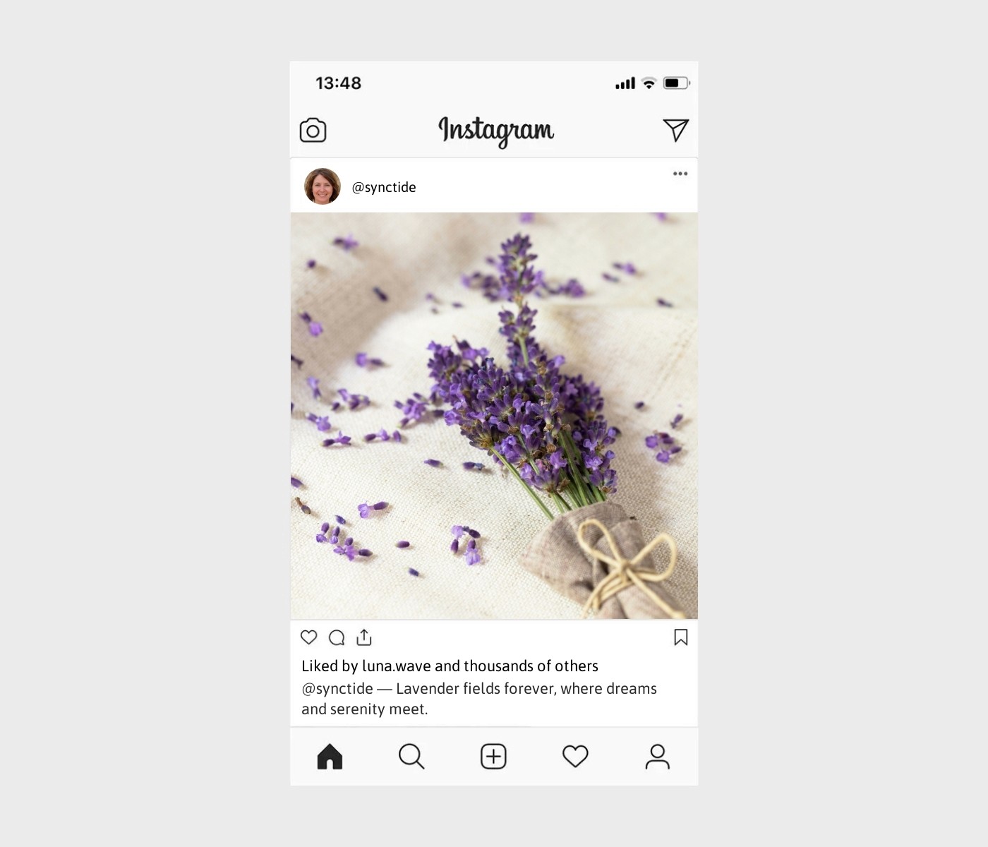 lavender-captions-for-instagram