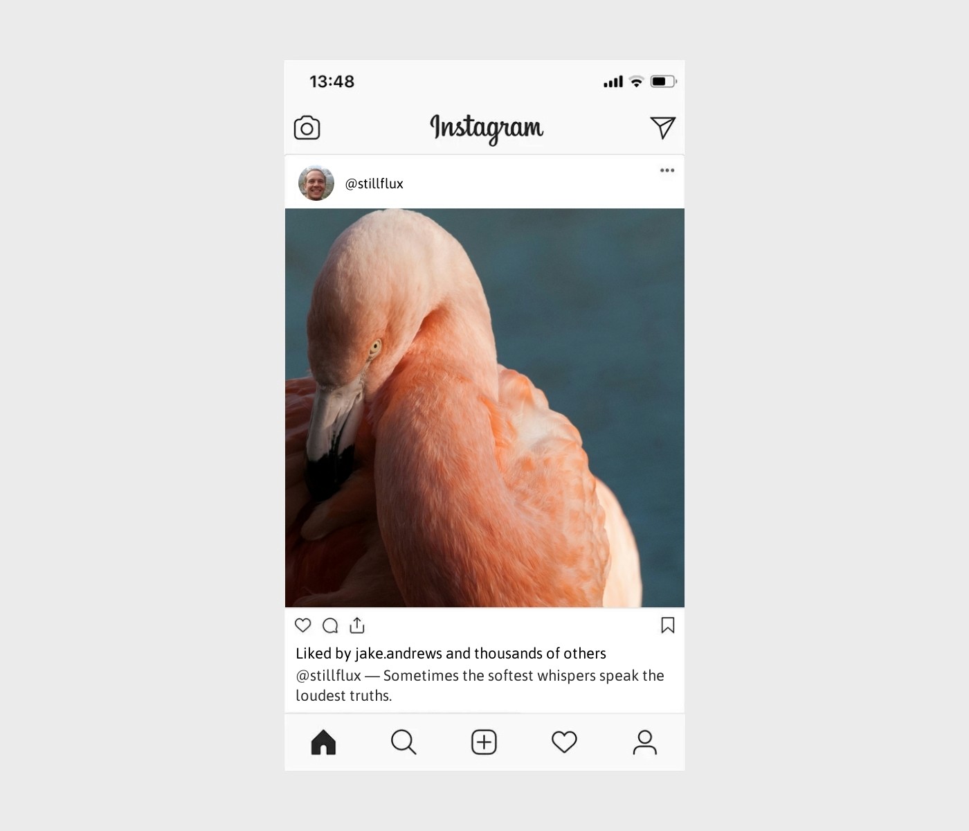 shy-captions-for-instagram