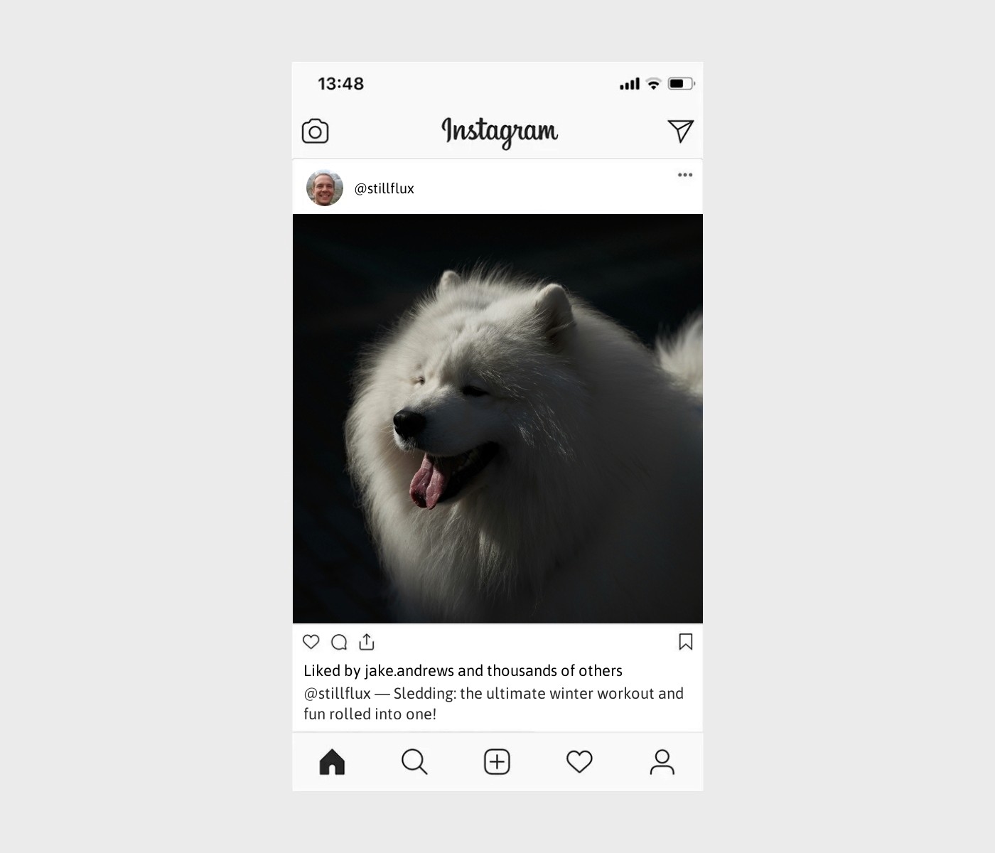 sledding-captions-for-instagram