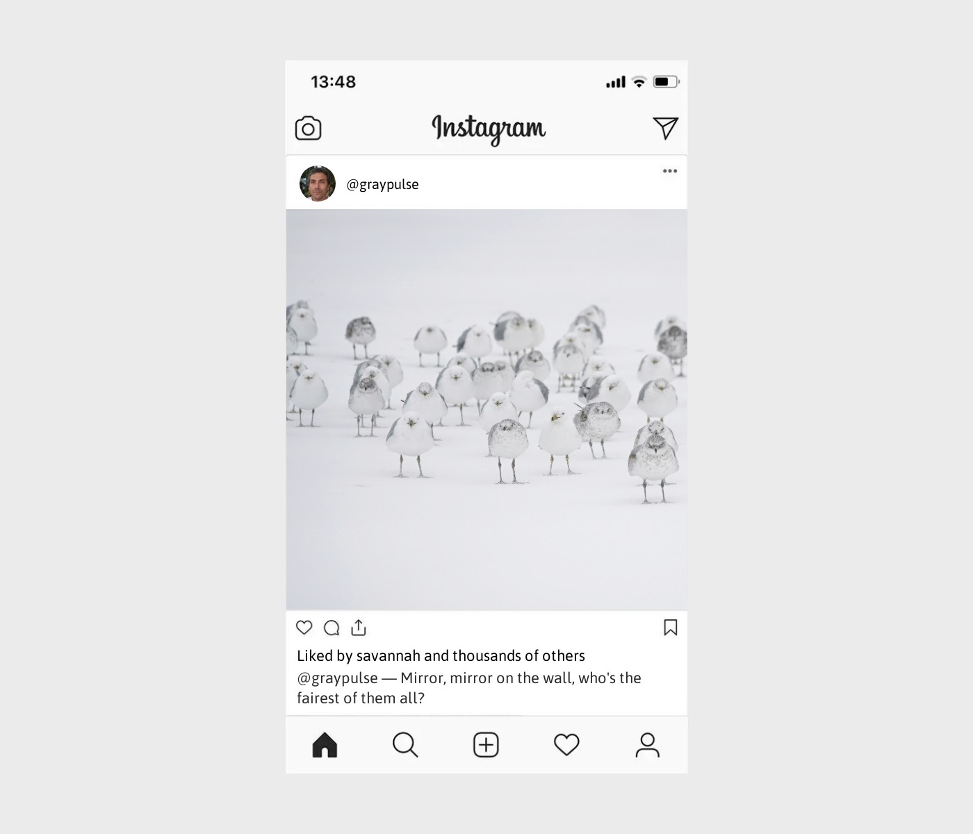 snow-white-captions-for-instagram