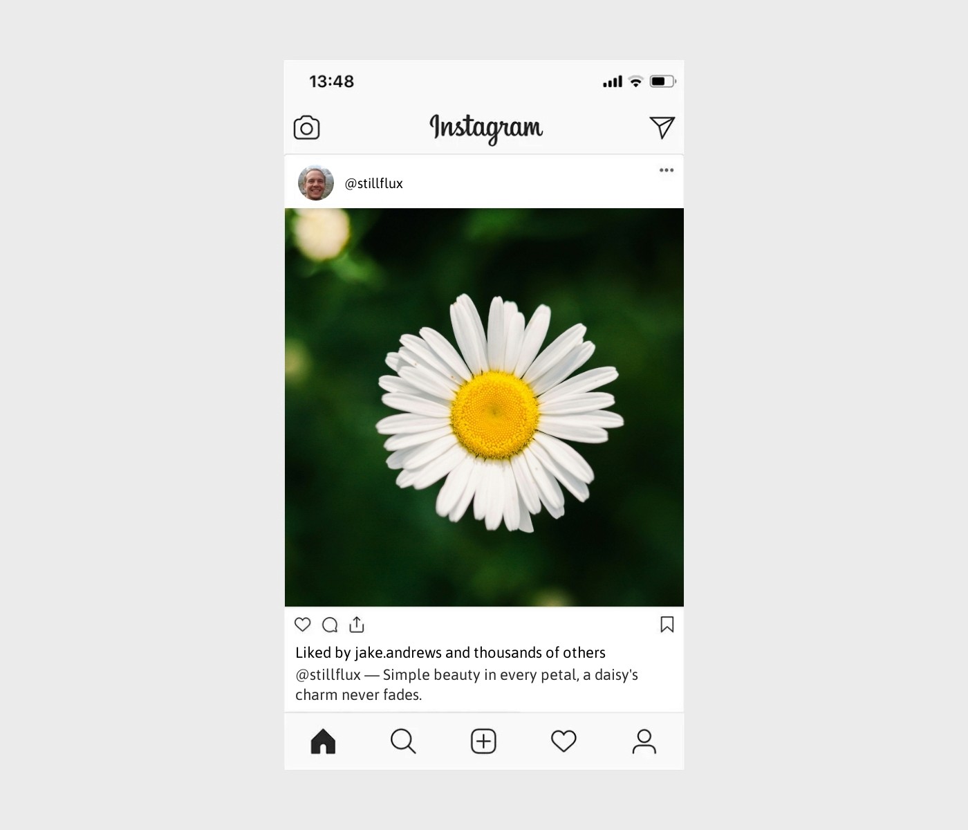 daisy-captions-for-instagram