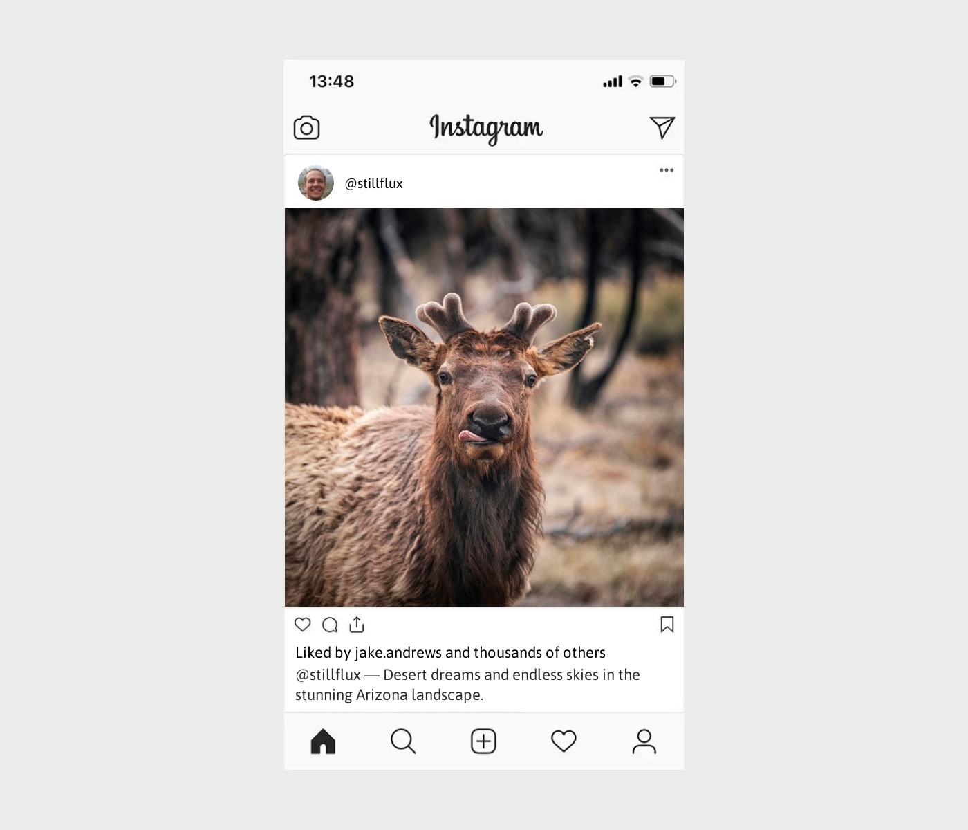 arizona-captions-for-instagram