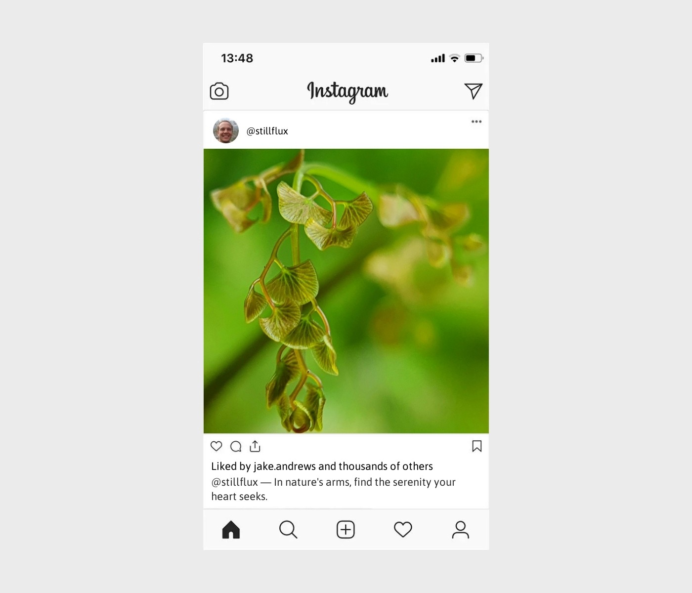 nature-healing-captions-for-instagram