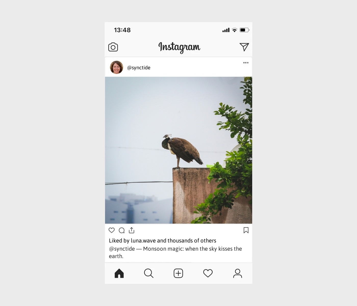 monsoon-captions-for-instagram