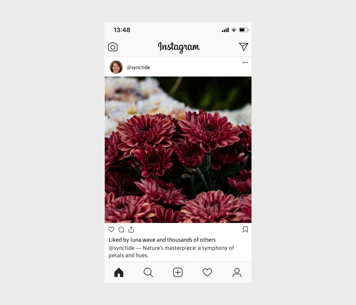 pinterest-flower-captions-for-instagram