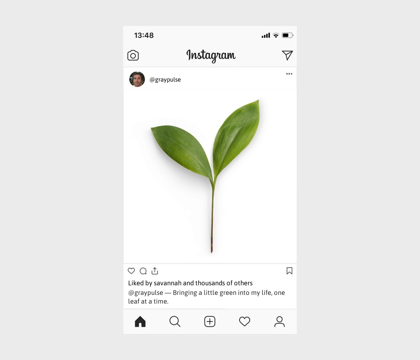 plant-captions-for-instagram