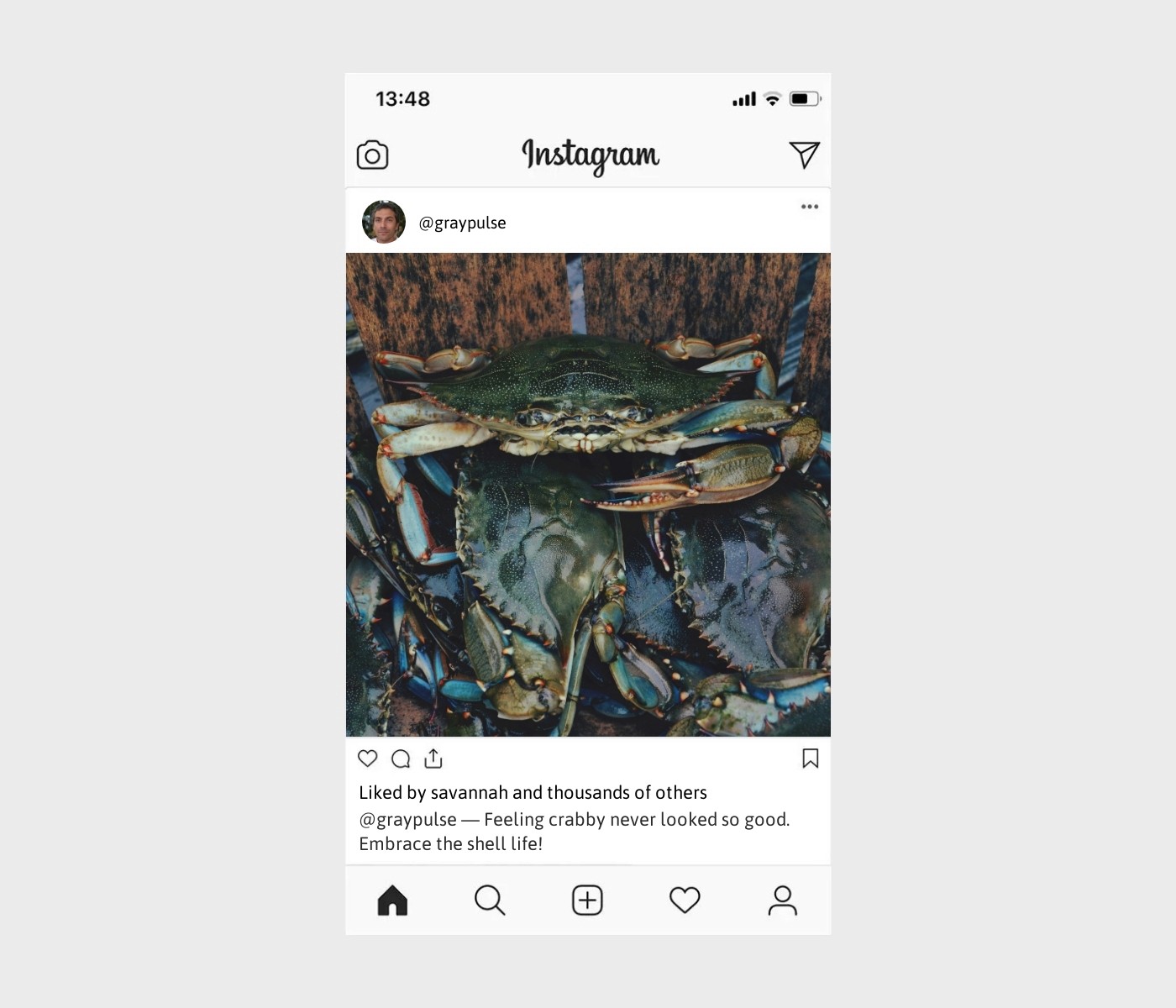 crab-captions-for-instagram