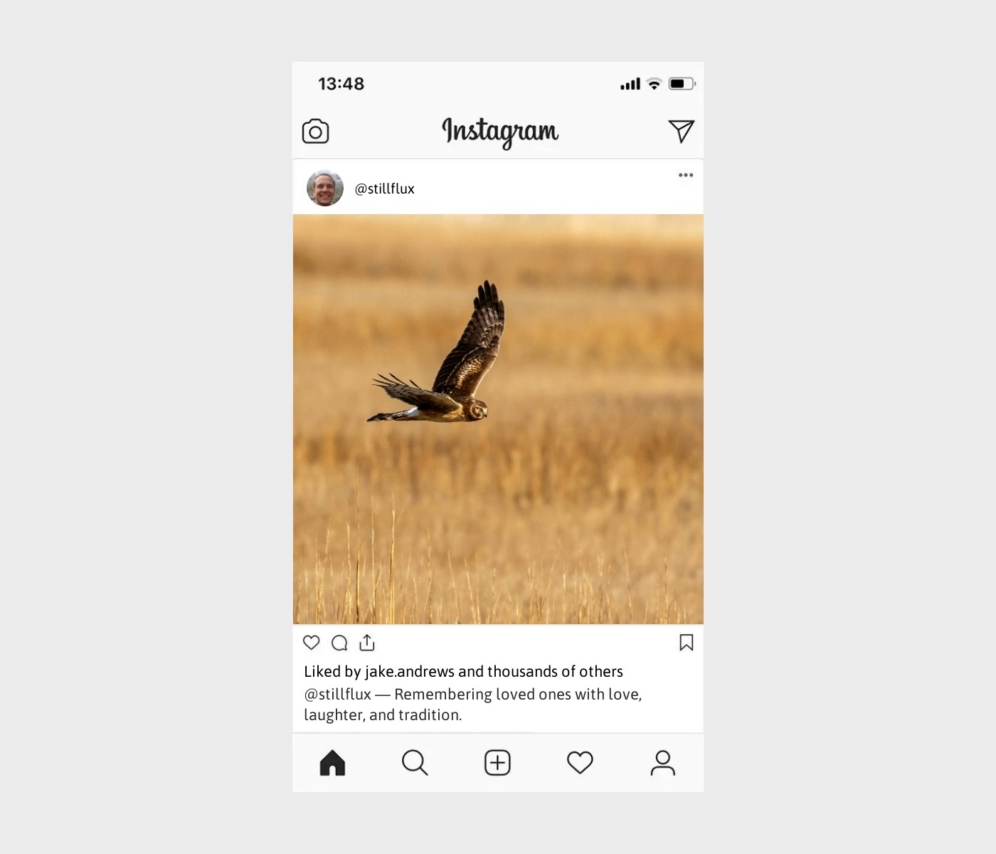 dia-de-los-muertos-captions-for-instagram