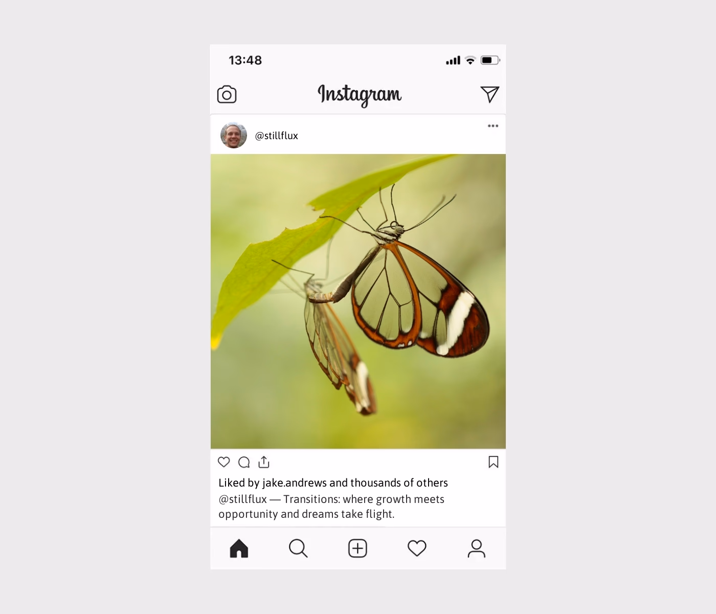 100+ Transition Captions For Instagram To Inspire You - My Framer Site
