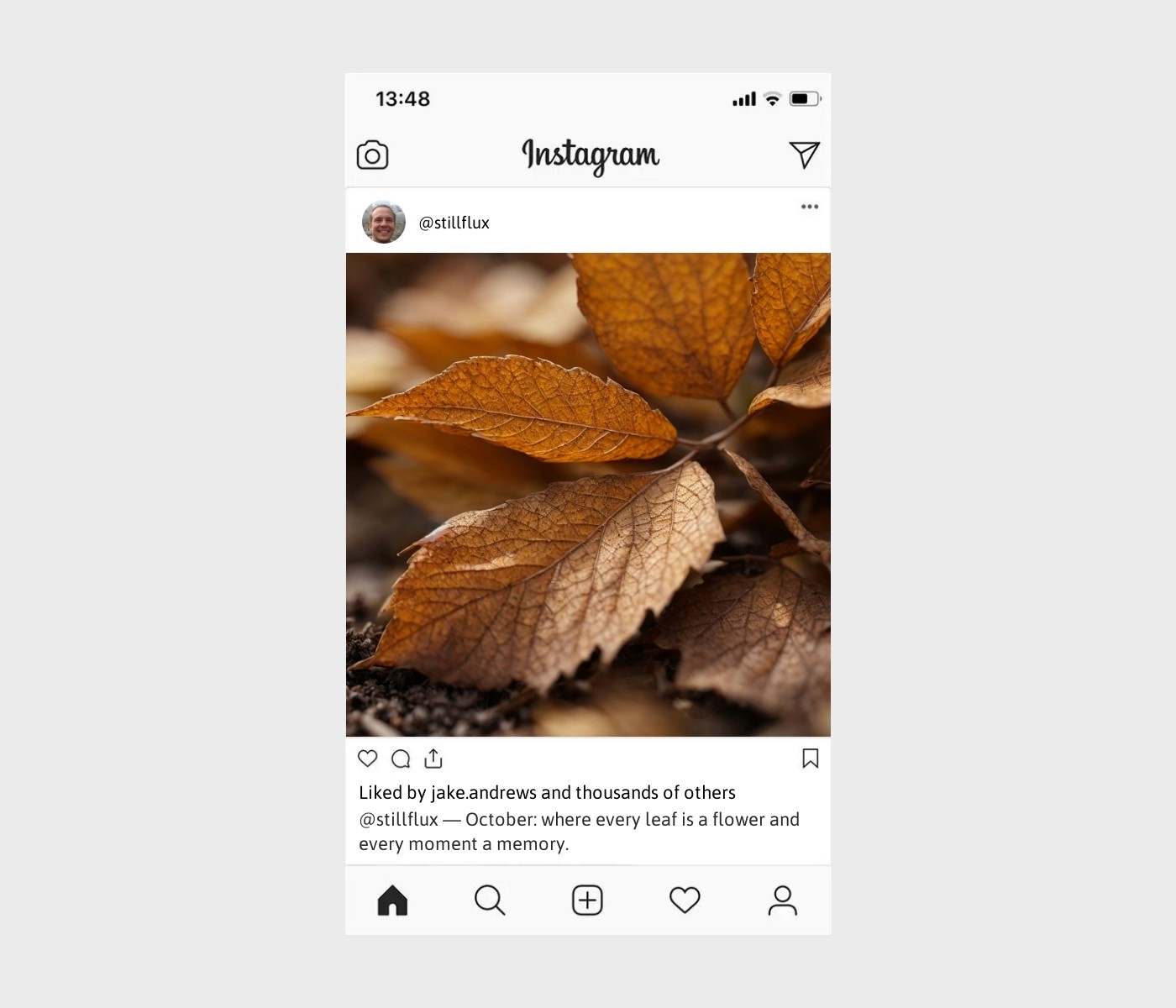 october-dump-captions-for-instagram