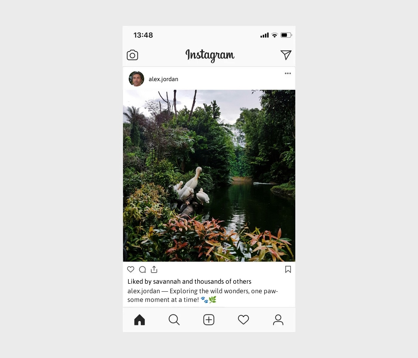 zoo-captions-for-instagram