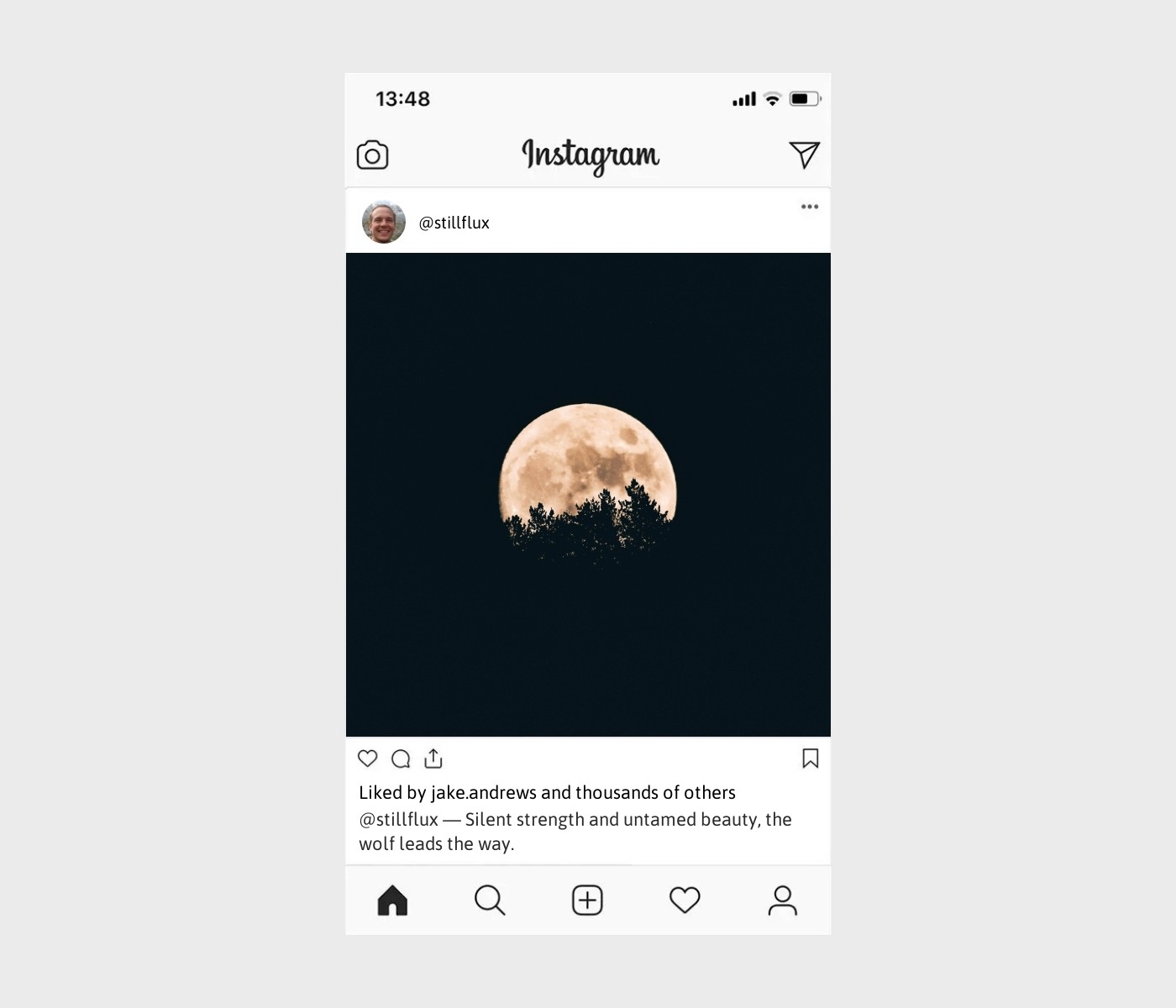 wolf-caption-for-instagram