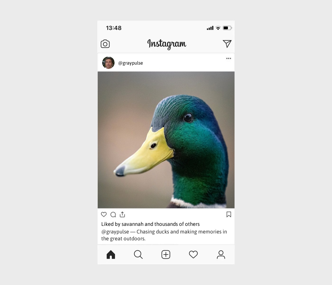 duck-hunting-captions-for-instagram
