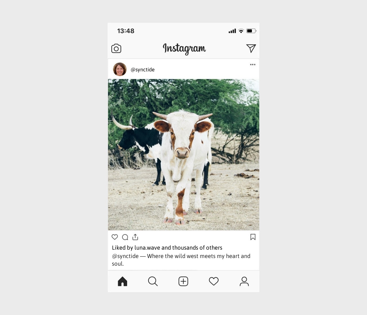 ranch-captions-for-instagram