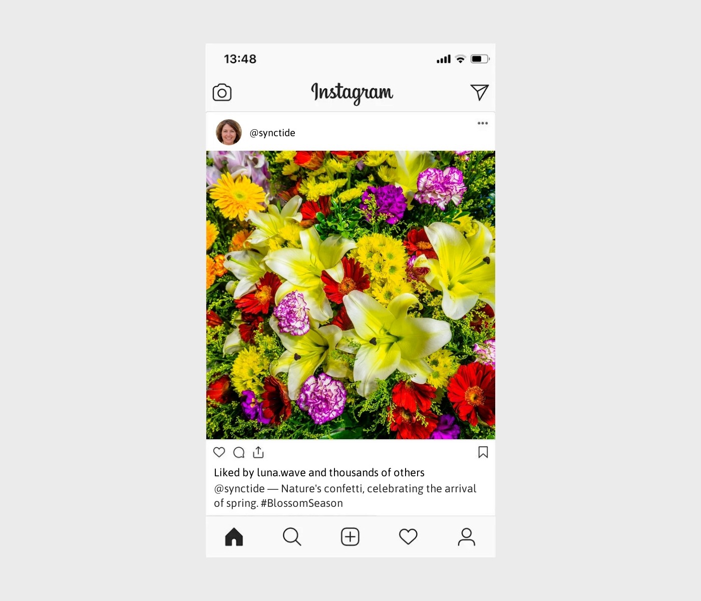 blossom-captions-for-instagram