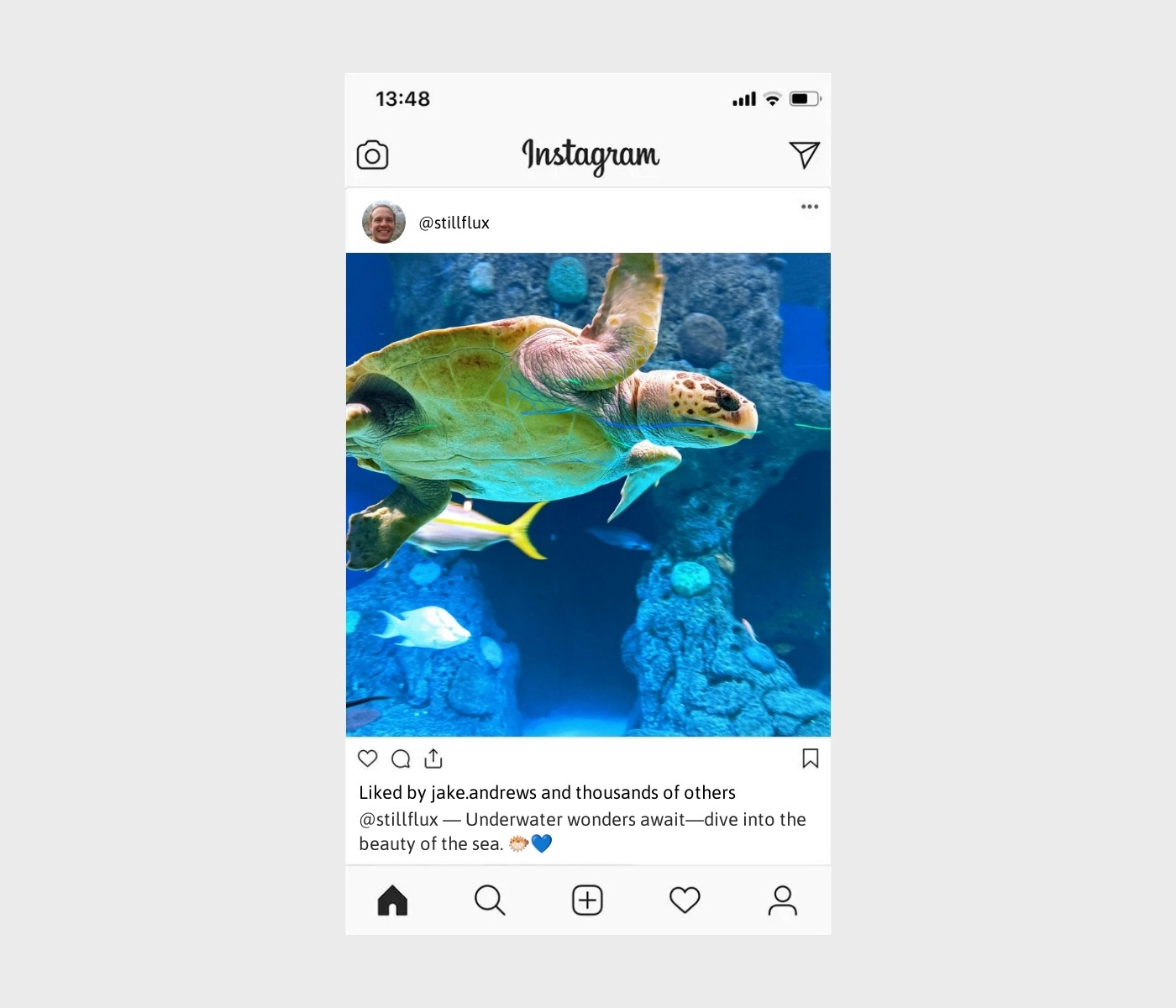 aquarium-captions-for-instagram