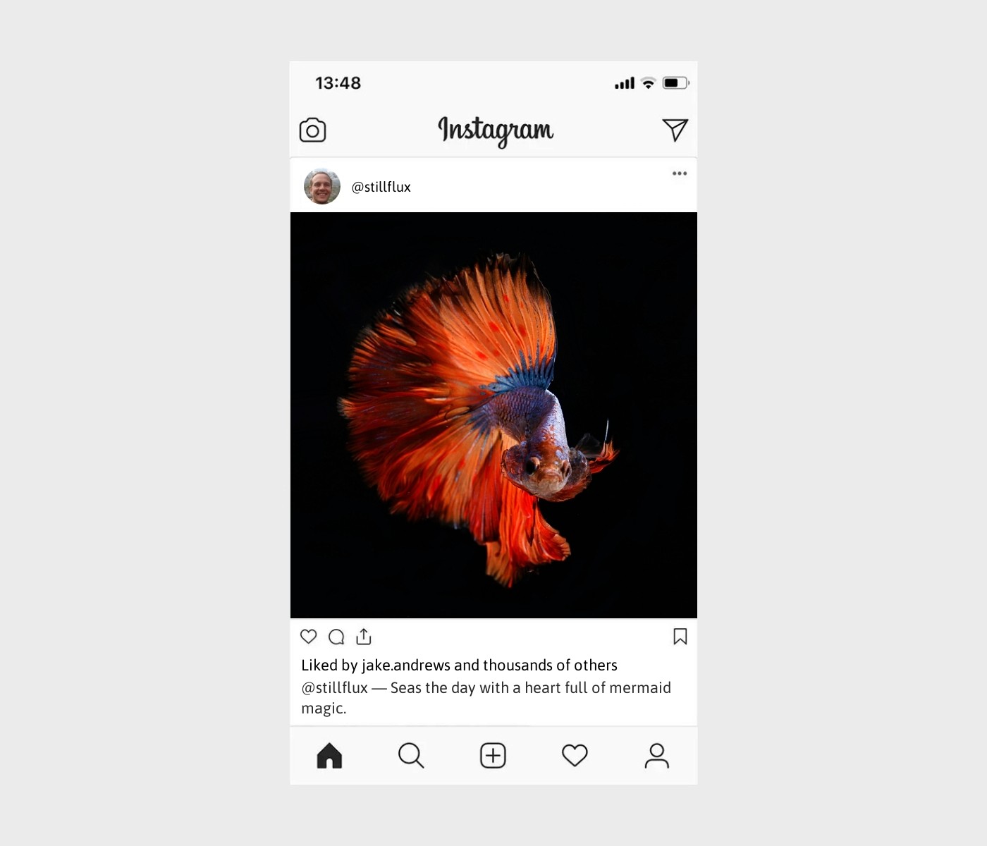 mermaid-captions-for-instagram