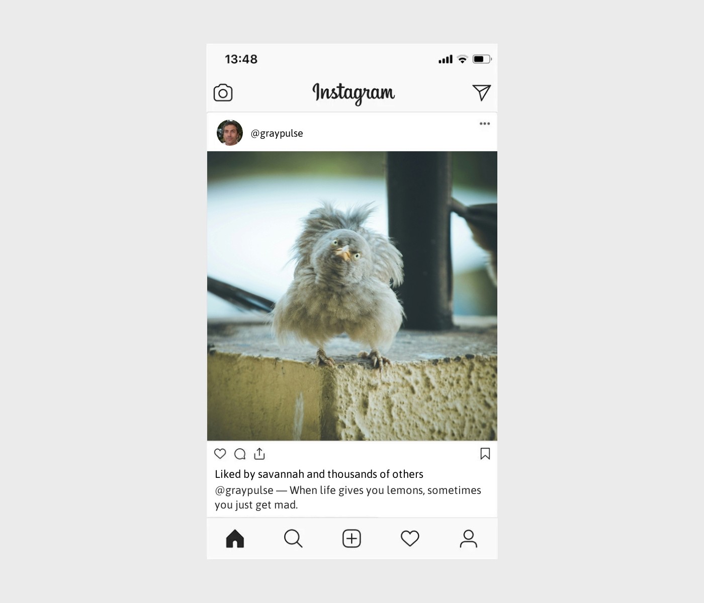 angry-captions-for-instagram