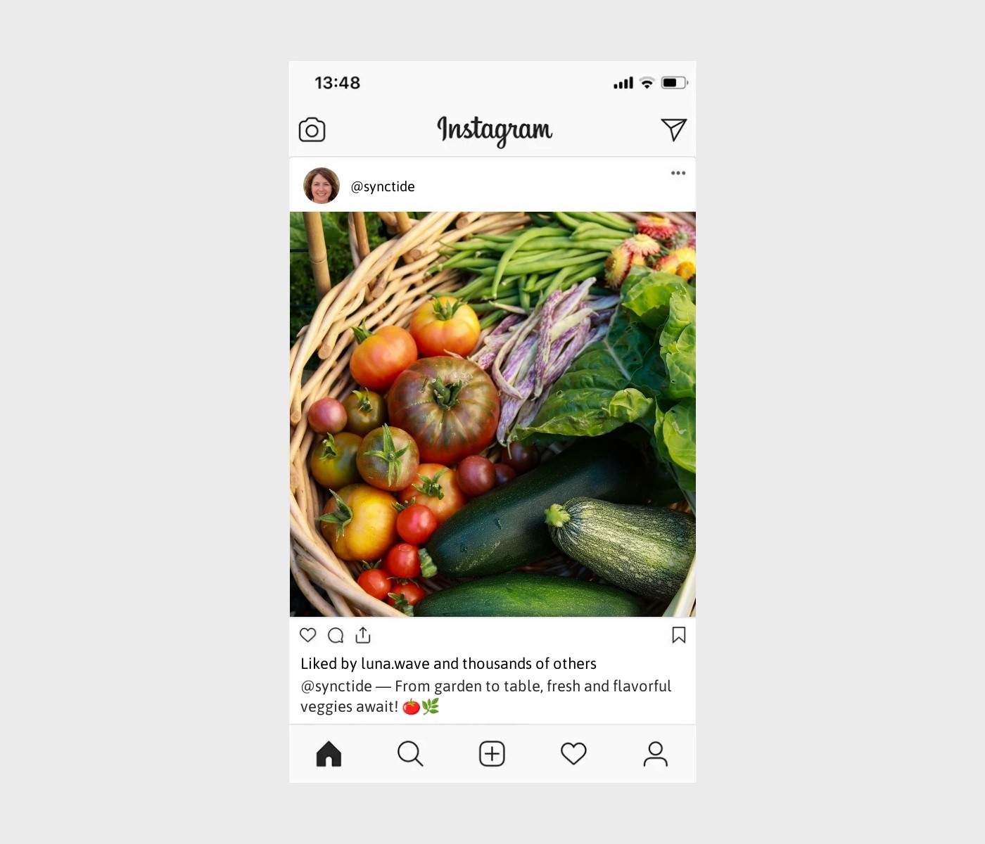vegetable-gardening-captions-for-instagram