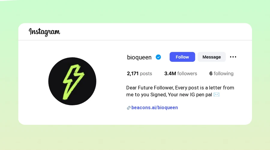 Letter Instagram Bios ideas and examples
