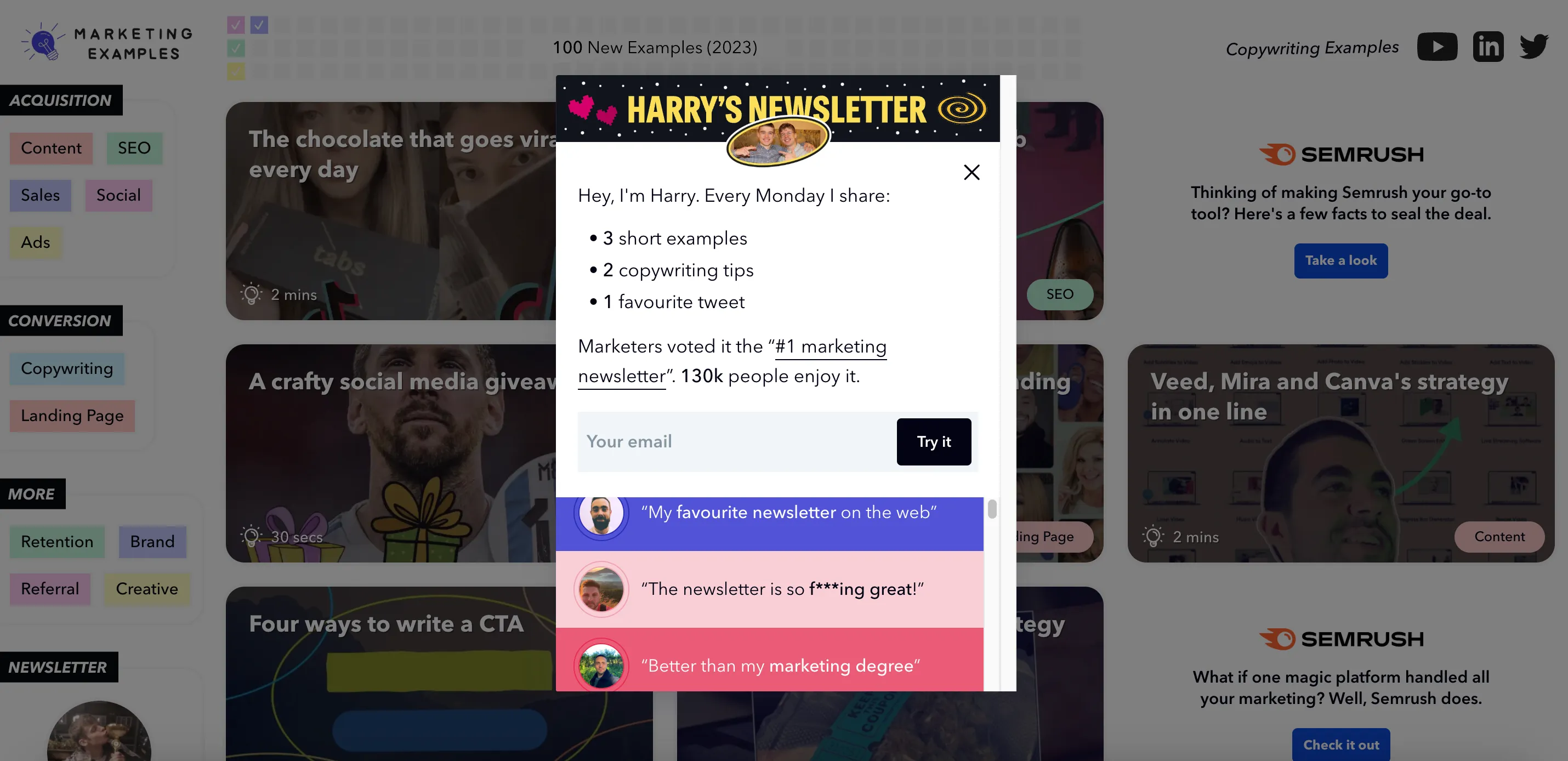 Newsletter examples