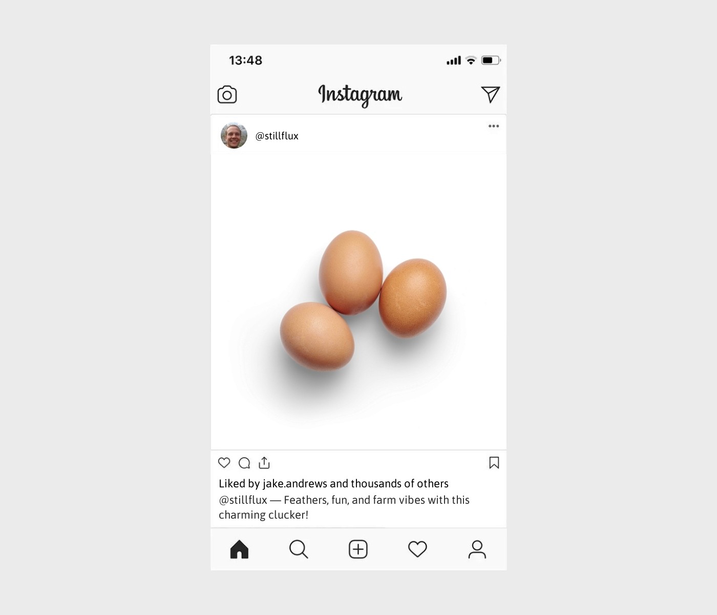 chicken-captions-for-instagram