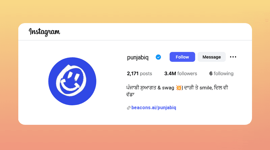 Punjabi Instagram Bios ideas and examples