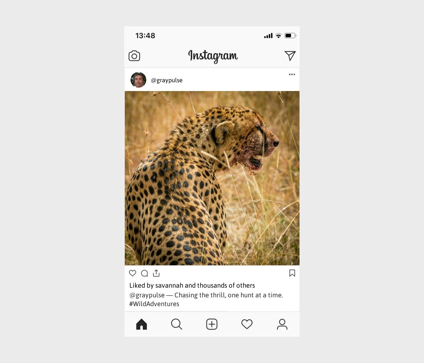 hunting-captions-for-instagram