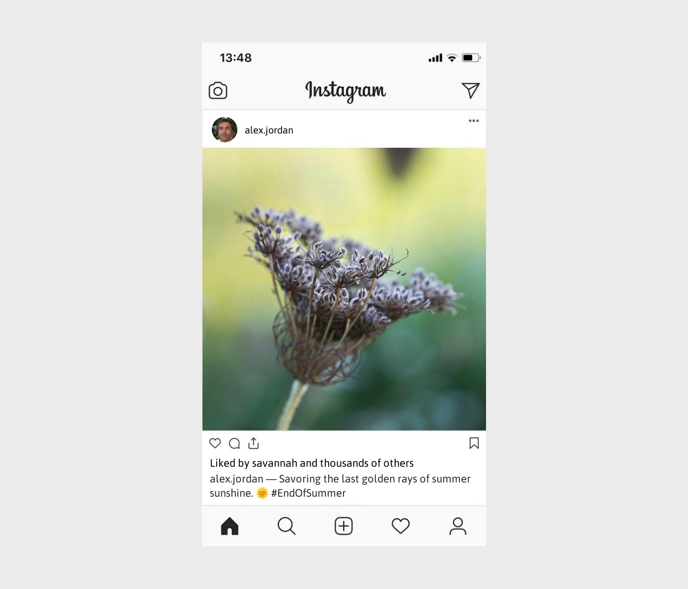 end-of-summer-captions-for-instagram