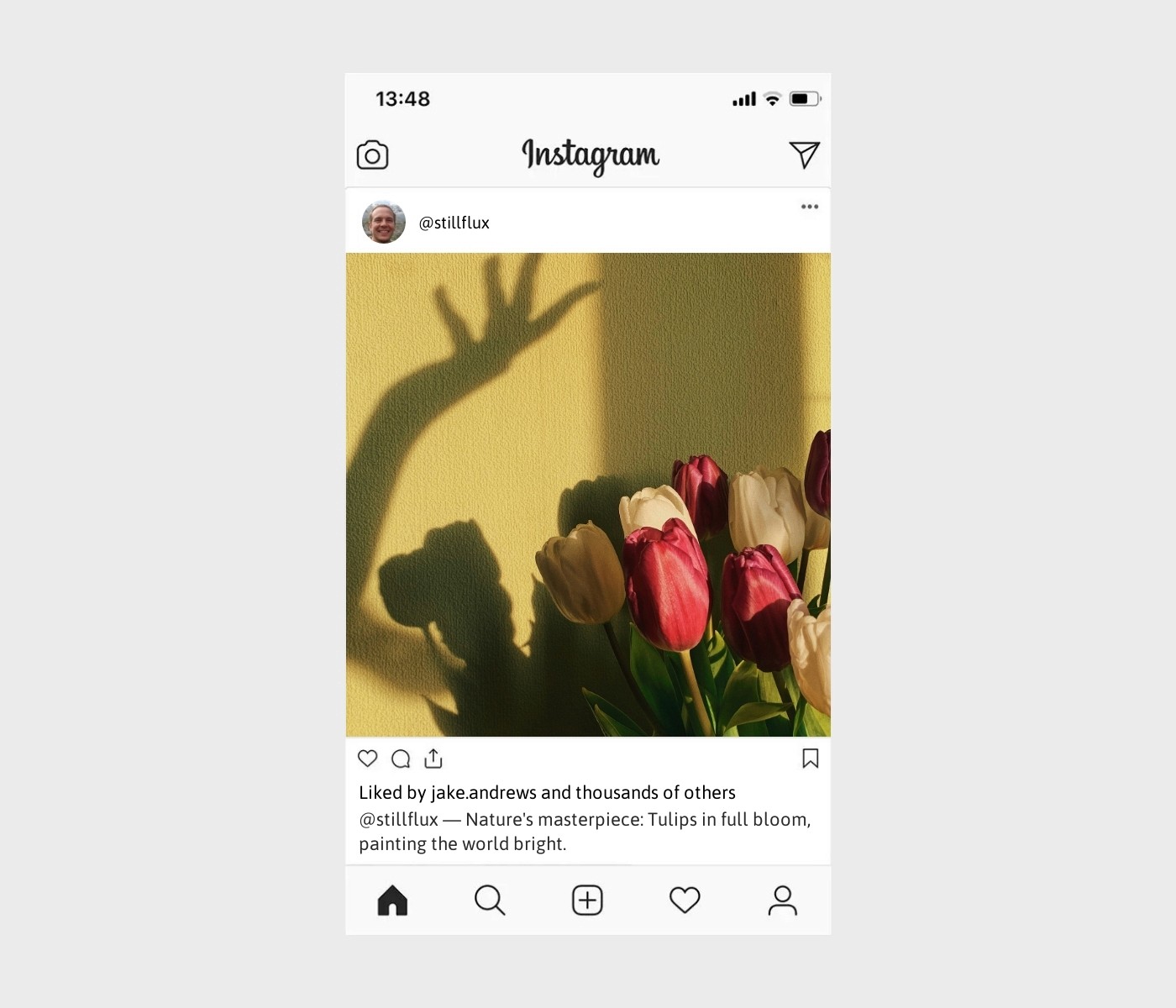 tulip-captions-for-instagram