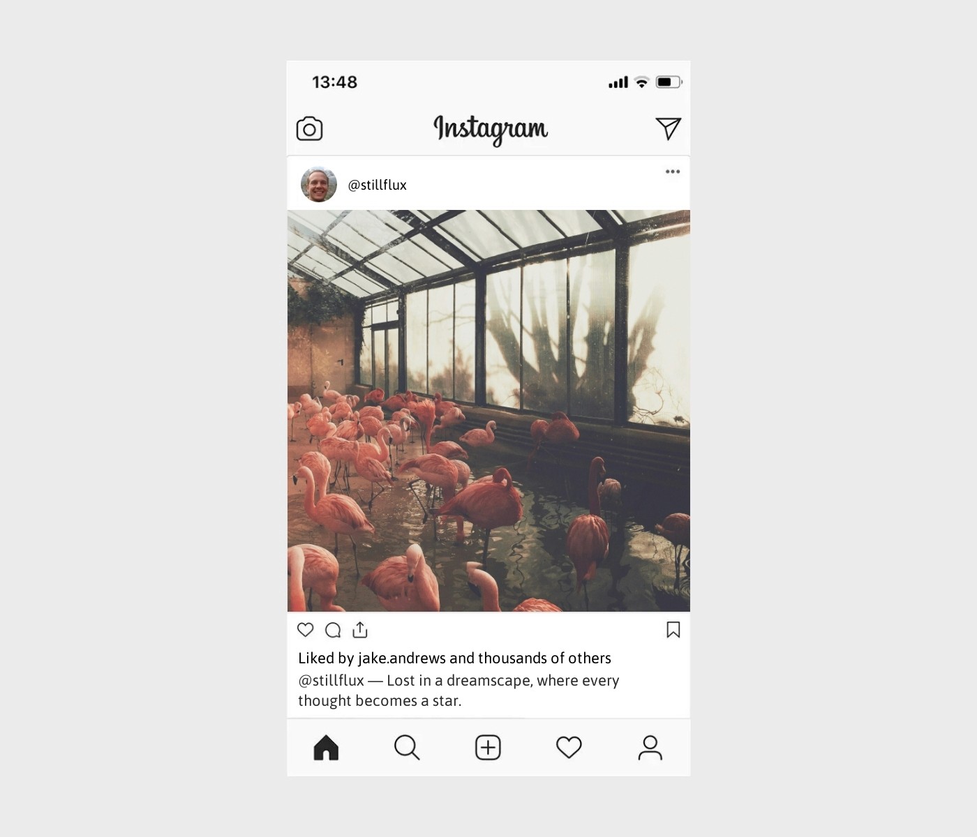 dreamy-captions-for-instagram