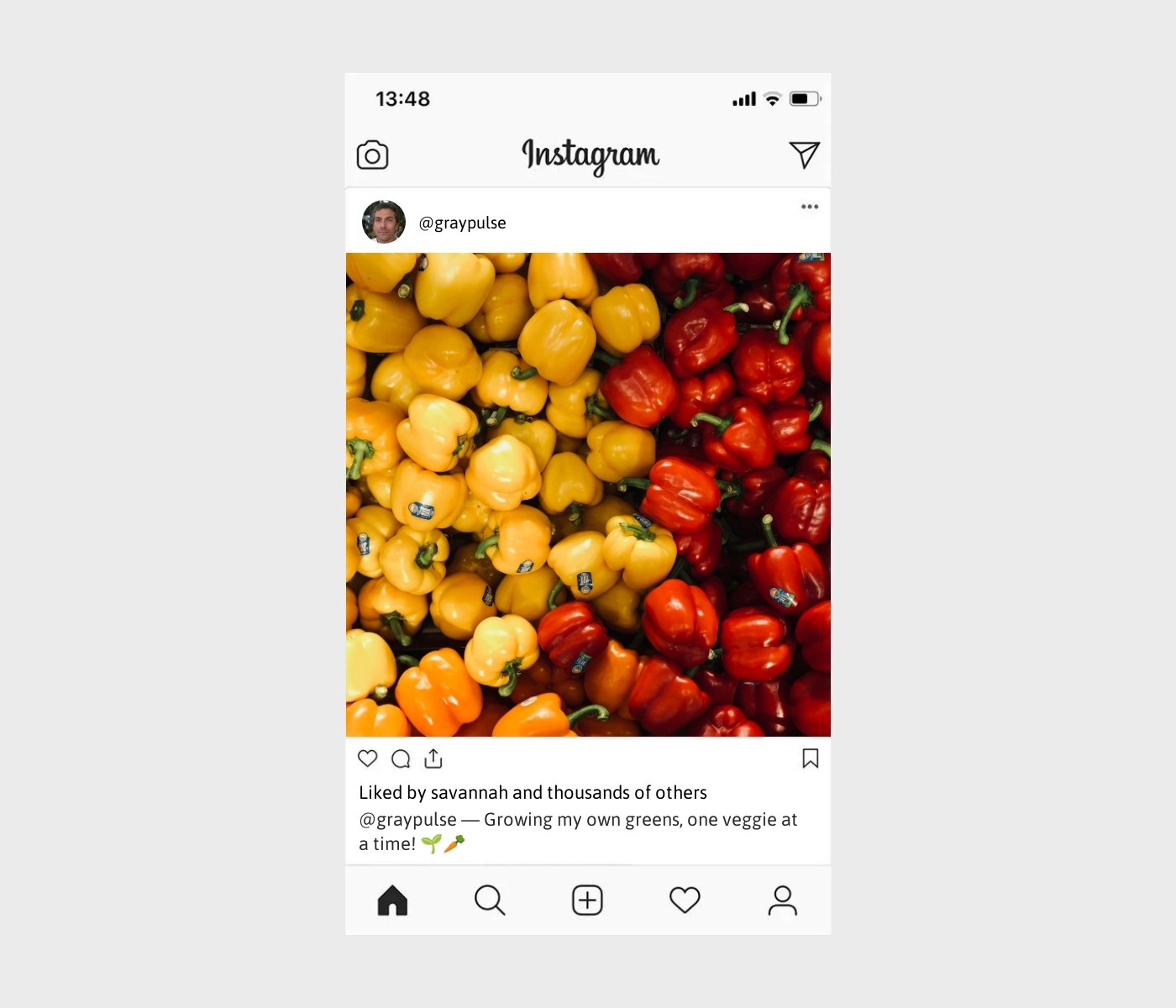 vegetable-gardening-captions-for-instagram