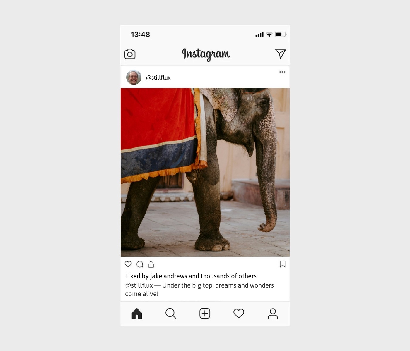 circus-captions-for-instagram