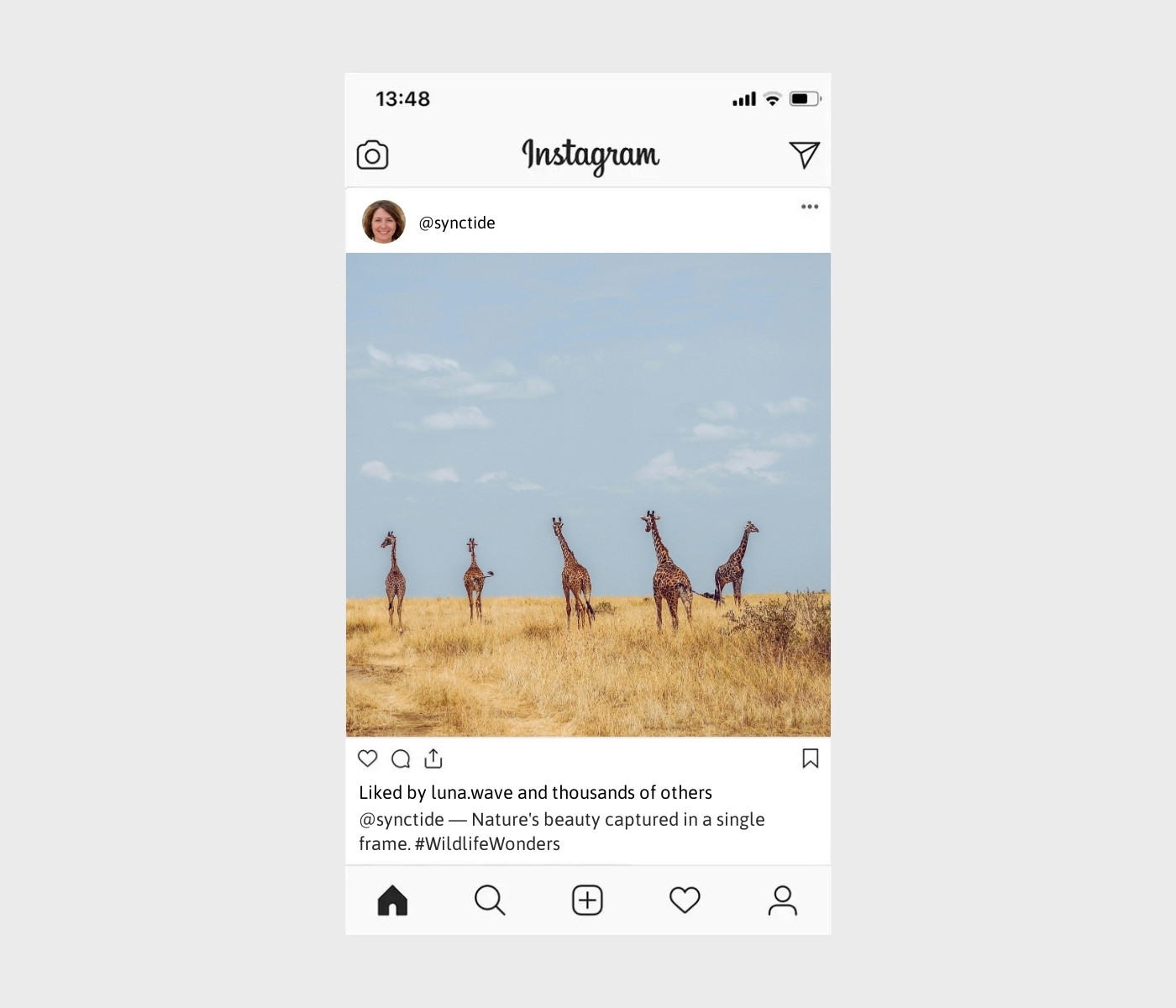 wildlife-captions-for-instagram